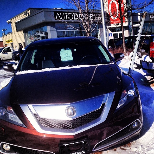 Acura ZDX SHawd